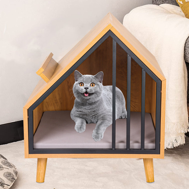 Cat shop house indoor